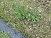P4100014