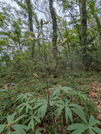 PXL_20260523_035925593