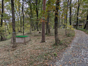 PXL_20251113_022417139.MP