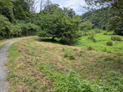 PXL_20260804_021812380