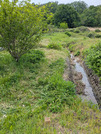 PXL_20260508_040712936