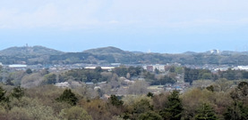PXL_20260405_034208902