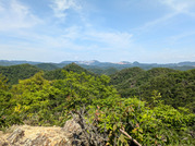 PXL_20260511_030420808