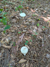 PXL_20260805_050523430