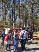 シイタケ駒打ち 324_190325_0044