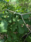PXL_20260511_025955754