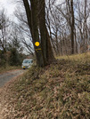 PXL_20260220_033147102