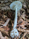 PXL_20260805_051710772