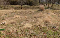 PXL_20260321_021008451