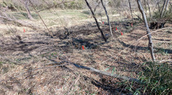 PXL_20260316_045559829