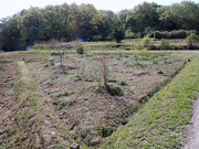 P4090004