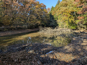 PXL_20251127_235214262