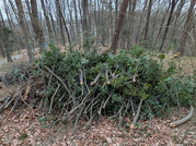 PXL_20260217_022142336
