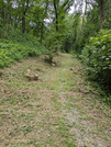 PXL_20260731_041250303