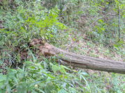 PXL_20260605_003239704