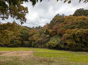 PXL_20251118_000943537