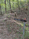 PXL_20260511_054059785