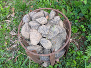 PXL_20260419_073848351