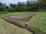 PXL_20260604_054556654