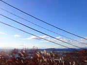 PC090036