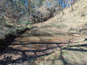 PXL_20260304_015056194
