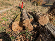 PXL_20251208_032825963