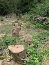 PXL_20260606_012748305