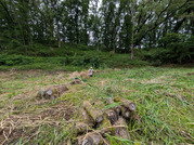 PXL_20260524_012454068