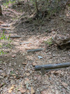 PXL_20260531_030433757