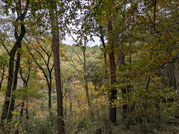 PXL_20251117_232342456