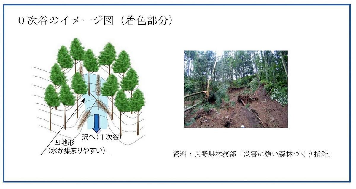 ゼロ次