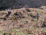 PXL_20251205_012852931