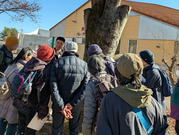 PXL_20251129_023107891