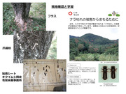 市民の森のナラ枯れと蔓延_06