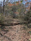 PXL_20260301_024750421