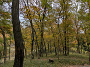 PXL_20251117_235417520