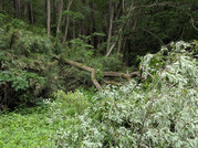 PXL_20260604_040126171