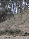 PXL_20260224_075441268