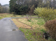 PXL_20260404_041706650