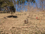 PXL_20260308_022849462