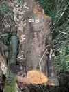 PXL_20260830_034257061