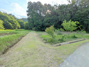PXL_20260526_075513829-001