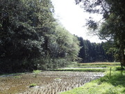 P4150063
