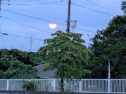 PXL_20260729_100459078