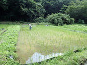 P6270017