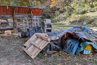 PXL_20251124_023348319