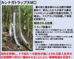 TWC被害軽減の減みB11