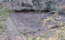 PXL_20260118_051233608