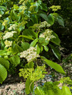 PXL_20260422_010040594