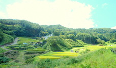 DSCN9238